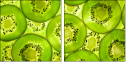 39788050