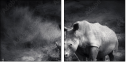 40411231