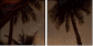 4823952