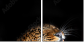 48606369