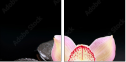 49497530