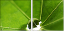 53517860
