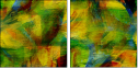 58509769
