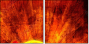 6550561