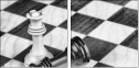 67855650