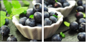 69394583