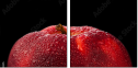78900295
