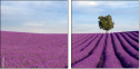 9059586