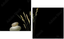 10925882