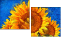 121341764