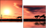 15223082
