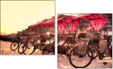 16482006