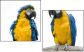 18738718