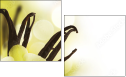 20383309