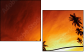 20708520