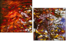24600488
