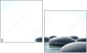 24755998