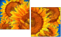 256376669