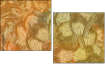 265907570