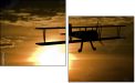 26817733