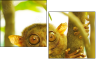 28835304