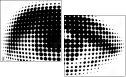 29211462
