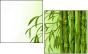 30751980