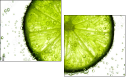 36604434