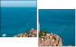 37043331