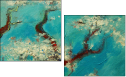 39414869