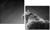 49654340