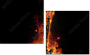 51795324