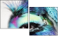 58274972