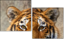 59798134