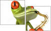 61064251