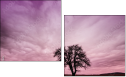 65457825