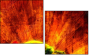 6550561