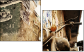 7183828