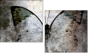 73878760