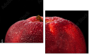 78900295
