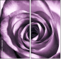 11865044