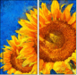 121341764