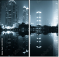 22209432