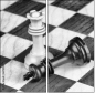 67855650