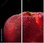78900295