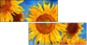 108425376