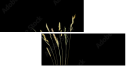 10925882