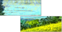 112306514