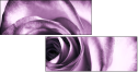 11865044