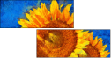 121341764